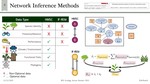 Data Simplification  for Ecological Network Inference